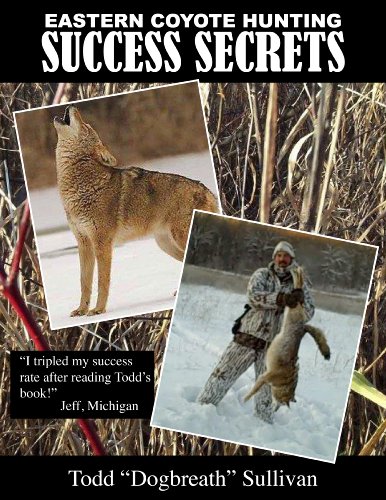 Eastern Coyote Hunting Success Secrets