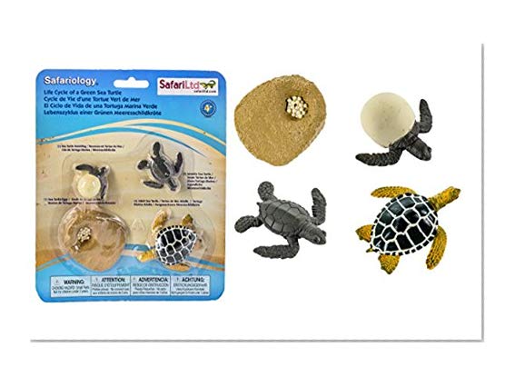 Safari Ltd. Life Cycle of a Green Sea Turtle - Educational Toy Figurines - Miniature Turtle Lifecycle Collection for Boys, Girls & Kids Age 4+