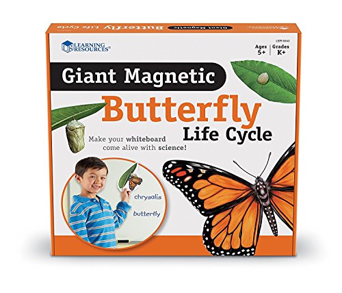 Book Cover Learning Resources Butterfly Life Cycle, 9 Write and Wipe Pieces, Classroom Accessories, Teaching Aids, Ages 5+