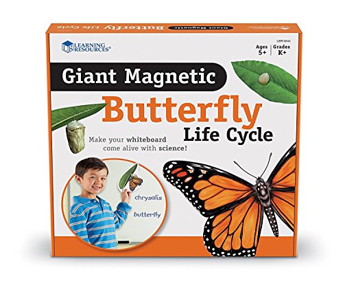 Learning Resources Butterfly Life Cycle, 9 Write and Wipe Pieces, Classroom Accessories, Teaching Aids, Ages 5+