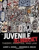 Juvenile Delinquency: Theory, Practice, and Law 11th (eleventh) edition