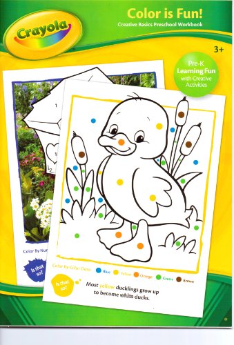 Crayola Color Is Fun! (Creative Basics Preschool Workbook)