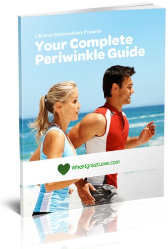 Your Complete Periwinkle Guide (E-book)
