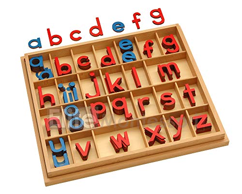 Book Cover Montessori Small Wooden Movable Alphabet with Box (Red & Blue, 5mm Thick)