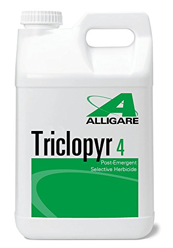 Book Cover Triclopyr 4 EC Compare to Garlon 4 and Remedy 1 Gallon