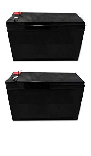 Razor Dirt Quad Replacement Batteries. Reuse Existing Connectors. Includes 2 Batteries