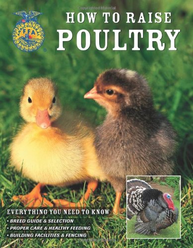 How to Raise Poultry