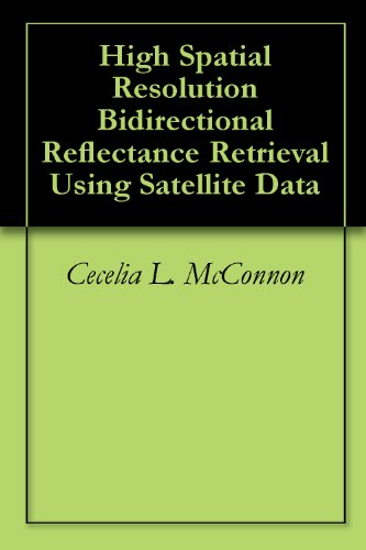 High Spatial Resolution Bidirectional Reflectance Retrieval Using Satellite Data