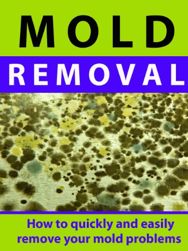 Mold Removal ---  How to Quickly and Easily Remove Your Mold Problems