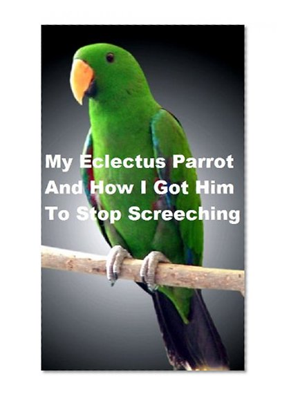 My Eclectus Parrot And How I Got Him To Stop Screaming