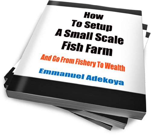 How To Setup A Small Scale Fish Farm and Go from Fishery to Wealth