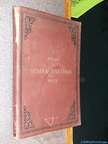 Atlas of Human Anatomy, With Explanatory Text [Containing Thirty-eight Coloured Plates of the Bones, Muscles, Vessels and Nerves of the Human Body, Organs of Sense, Eye, Ear, Nose, and Tongue, Respiratory Apparatus, Abdominal and Pelvic Viscera, Organizat