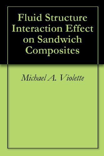 Fluid Structure Interaction Effect on Sandwich Composites