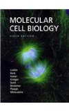Molecular Cell Biology Sixth Edition