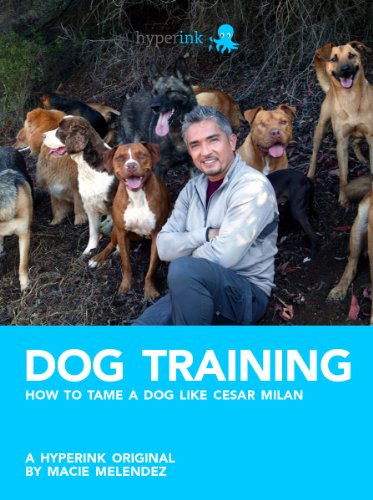 Dog Training: How to Tame a Dog Like Cesar Milan