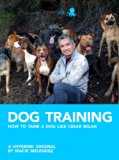 Dog Training: How to Tame a Dog Like Cesar Milan