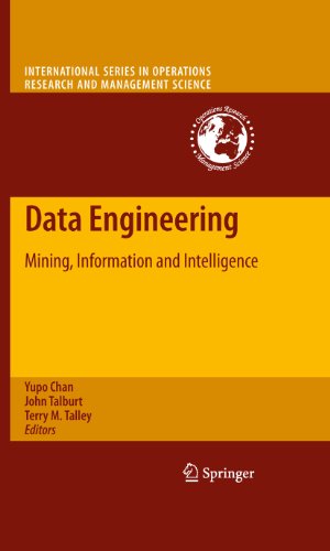 Data Engineering: 132 (International Series in Operations Research & Management Science)