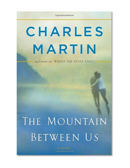 The Mountain Between Us: A Novel