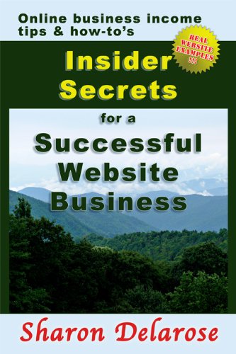 Insider Secrets for a Successful Website Business
