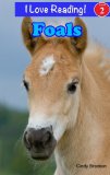 Foals - Baby Horse (An "I Love Reading" Level 2 Reader)