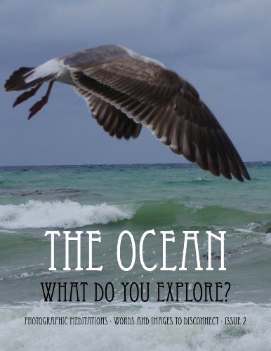 The Ocean - What Do You Explore (Photographic Meditations Book 2)