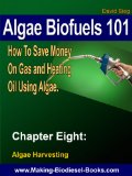 Algae Biofuels 101: Chapter 8-Algae Home Harvesting