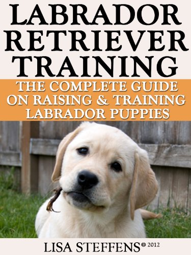 Labrador Retriever Training:  Breed Specific Puppy Training Techniques, Potty Training, Discipline, and Care Guide