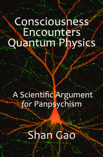 Consciousness Encounters Quantum Physics: A Scientific Argument for Panpsychism