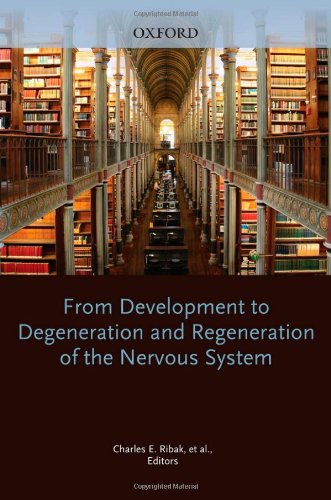 From Development to Degeneration and Regeneration of the Nervous System