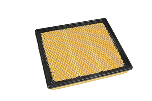 Book Cover ACDelco A3174C Professional Air Filter