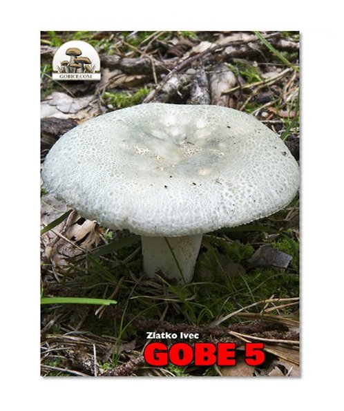 Gobe 5 (French Edition)