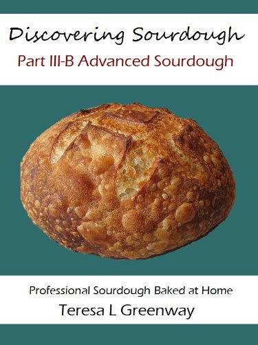 Discovering Sourdough Part III-B Advanced Sourdough