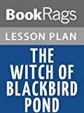 The Witch of Blackbird Pond Lesson Plans