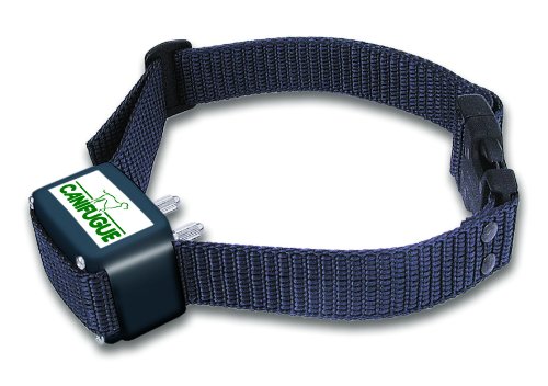 Num'axes Collier Seul Canifugue pour Chien