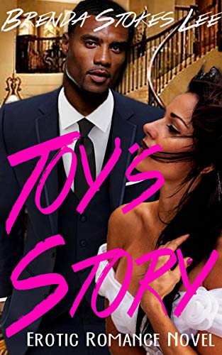 Book Cover Toy's Story: Erotic Romance Novel