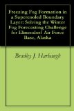 Freezing Fog Formation in a Supercooled Boundary Layer: Solving the Winter Fog Forecasting Challenge for Elmendorf Air Force Base, Alaska