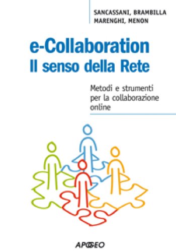 E-collaboration. Il senso della rete (PerCorsi di studio) (Italian Edition)