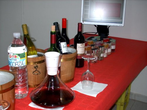 EL VINO SU CATA Y MARIDAJE ( CURSILLO DE CATA DE VINOS) (Spanish Edition)