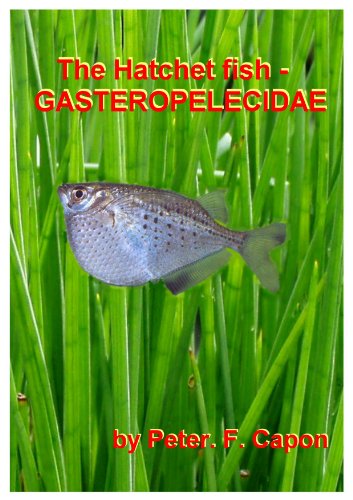 The Hatchet Fish - Gasteropelecidae