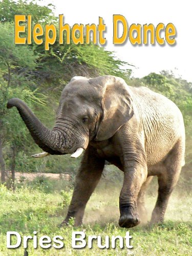 Elephant Dance