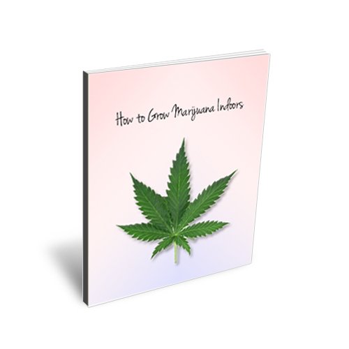 How to Grow Marijuana Indoors -  A Complete Guide to Indoor Growing