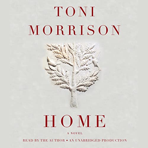 Book Cover Home: A Novel