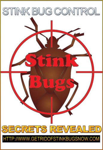 Stink Bug Control Secrets Revealed