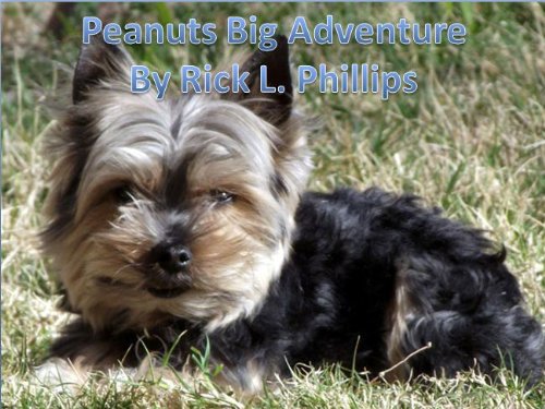 Book Cover Peanuts Big Adventure