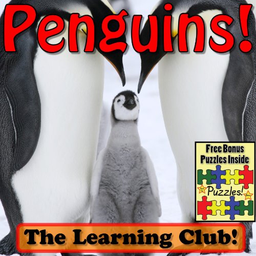 Penguins! Learn About Penguins And Learn To Read - The Learning Club! (45+ Photos of Penguins)