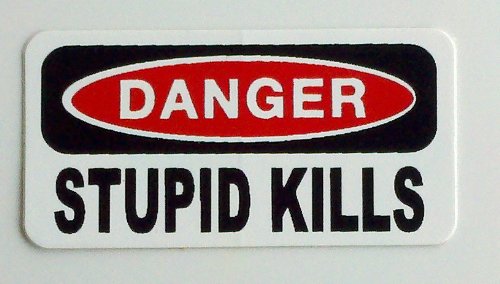 3 – Danger Stupid Kills Hard Hat/Helmet Stickers 1” x 2”