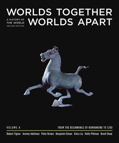 Worlds Together, Worlds Apart: A History of the World from the Mongol Empire to the Present:2nd (Second) edition