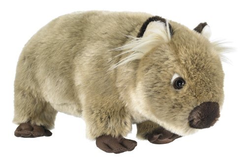 Book Cover Wildlife Artists Wombat Plush Stuffed Toy 11