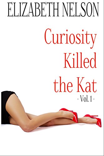 Curiosity Killed The Kat (A Katherine Flynn Mystery / Thriller Book 1)