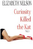 Curiosity Killed The Kat (A Katherine Flynn Mystery / Thriller Book 1)
